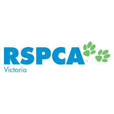rspca vic
